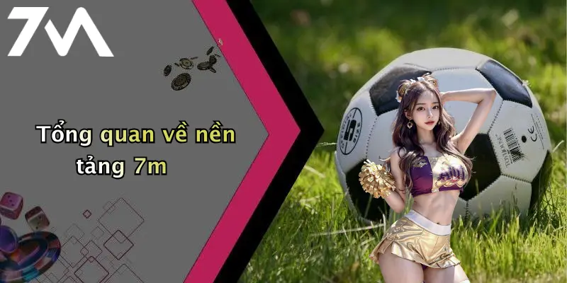 Tổng quan về nền tảng 7m