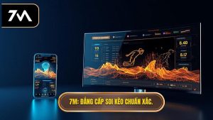 Hướng dẫn sử dụng 7M để bắt kèo chớp nhoáng
