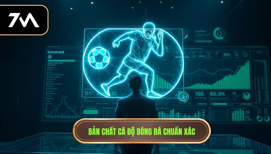 Hiểu Đúng Bản Chất Của Cá Độ Bóng Đá
